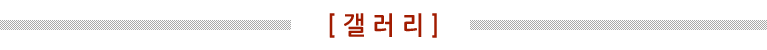 갤러리